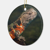 Shinisaurus crocodilurus keramik ornament (Links)