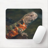 Shinisaurus crocodilurus mousepad (Mit Mouse)