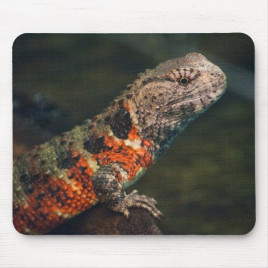 Shinisaurus crocodilurus mousepad (Vorne)