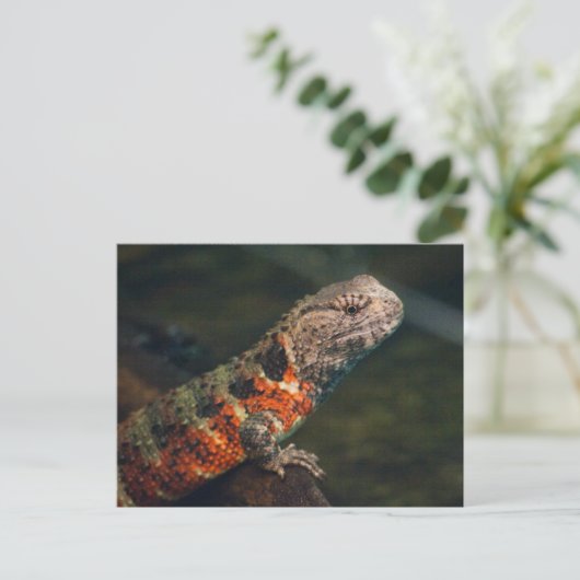 Shinisaurus crocodilurus postkarte (Stehend Vorderseite)