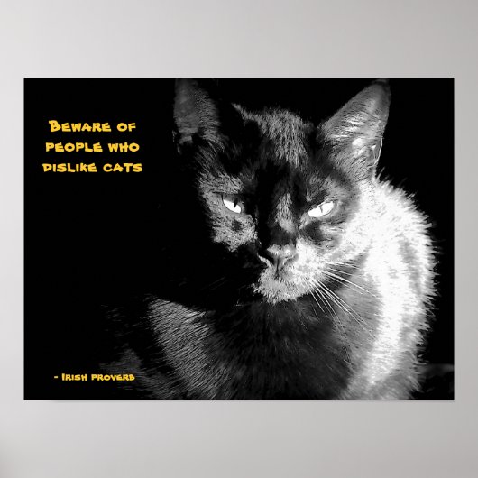 Shiny Black Cat mit Sprichwort Poster (Vorne)