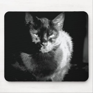 Shiny Black Cat Mousepad