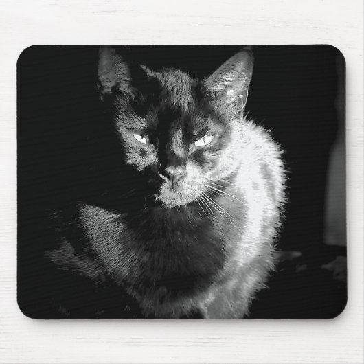 Shiny Black Cat Mousepad (Vorne)