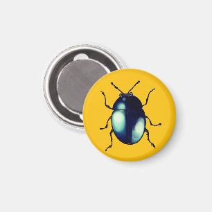 Shiny Blue Käfer Illustration Magnet