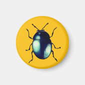 Shiny Blue Käfer Illustration Magnet (Vorne)