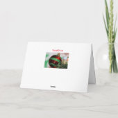 Shiny Feiertagskarte (Rückseite)