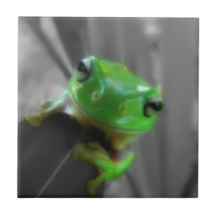 Shiny Green Frog Fliese