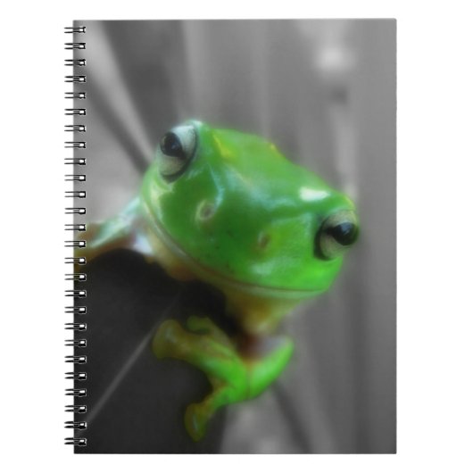 Shiny Green Frog Notizblock (Vorderseite)