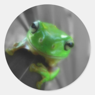 Shiny Green Frog Runder Aufkleber