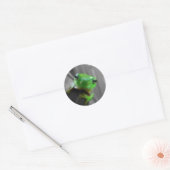 Shiny Green Frog Runder Aufkleber (Umschlag)