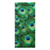 Shiny Green Peacock Feathers Price List Werbekarte (Hinten)