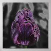 Shiny Lila Tulip Abstrakte Blume Art Poster (Vorne)