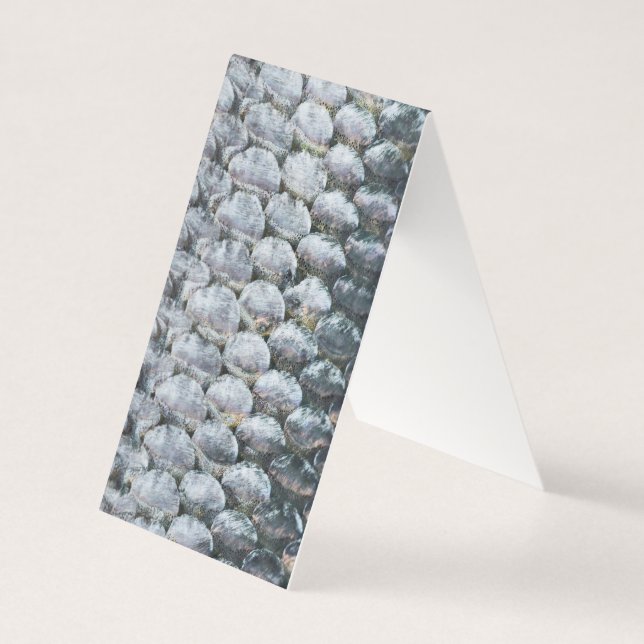 Shiny Lmon Scales (Vorderseite)