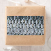 Shiny Lmon Scales (Insitu)