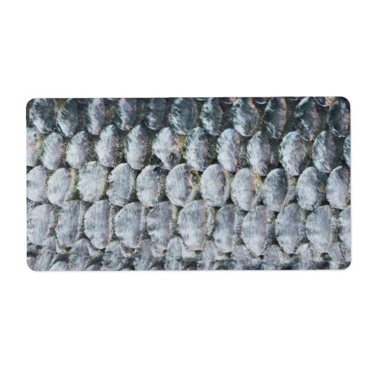 Shiny Lmon Scales (Vorne)
