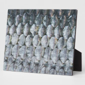 Shiny Lmon Scales Fotoplatte (Seite)