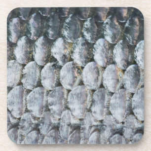 Shiny Lmon Scales Getränkeuntersetzer