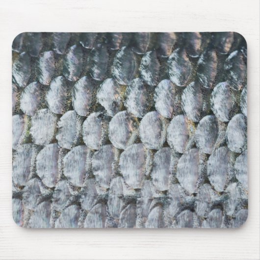 Shiny Lmon Scales Mousepad (Vorne)