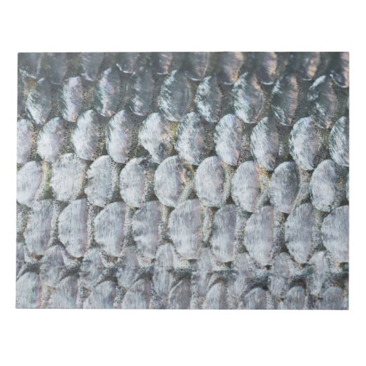 Shiny Lmon Scales Notizblock (Vorderseite)