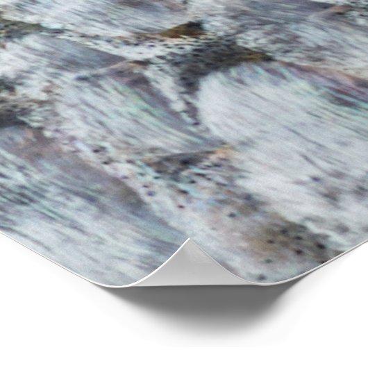 Shiny Lmon Scales Poster (Ecke)