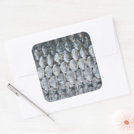 Shiny Lmon Scales Quadratischer Aufkleber (Umschlag)