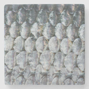 Shiny Lmon Scales Steinuntersetzer