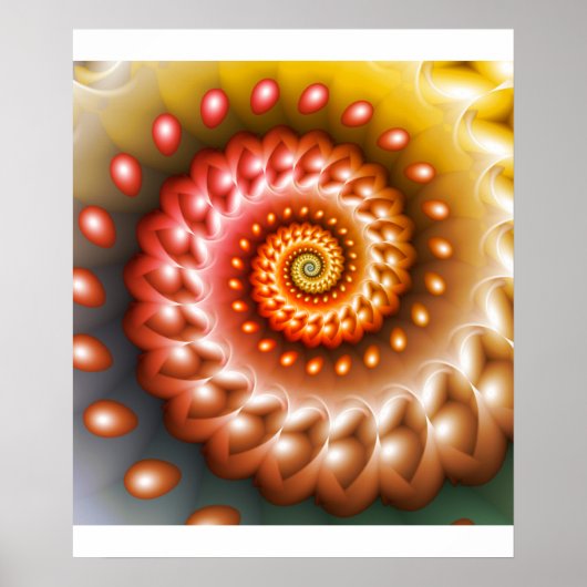 Shiny Peach Muschel Poster (Vorne)