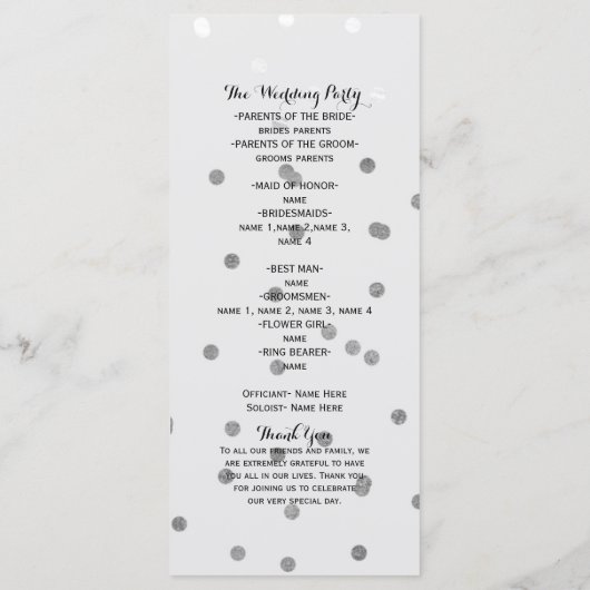 Shiny Silver Glamour Glam Chic Modern Program Rack Programm (Rückseite)