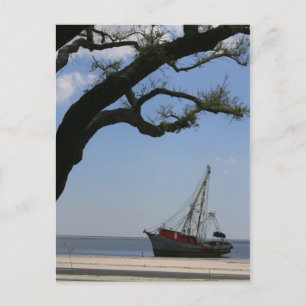 Ships Ahoy Post Card Postkarte