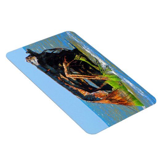 Shipwreck Abstrakt Blue Magnet (Rechte Seite)
