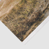 Shipwreck Ocean 20x30 Decoupage Seidenpapier (Ausschnitt)