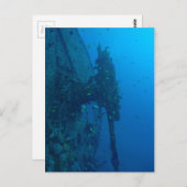 Shipwreck Postkarte (Vorne/Hinten)