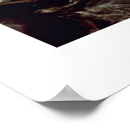 Shipwreck von Joseph Mallord William Turner Poster (Ecke)