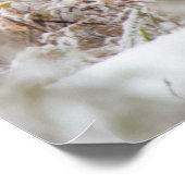 Shiras Bull Moose 2 Poster (Ecke)