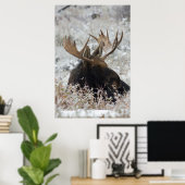 Shiras Bull Moose 2 Poster (Heimbüro)