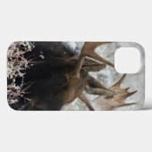 Shiras Bull Moose Case-Mate iPhone Hülle (Rückseite (Horizontal))