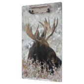 Shiras Bull Moose Klemmbrett (Links)