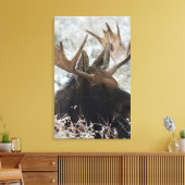 Shiras Bull Moose Leinwanddruck (Insitu (Wohnzimmer))