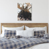 Shiras Bull Moose Leinwanddruck (Insitu (Schlafzimmer))