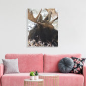 Shiras Bull Moose Leinwanddruck (Insitu (Wohnzimmer))