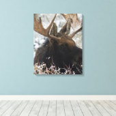 Shiras Bull Moose Leinwanddruck (Insitu (Holzboden))