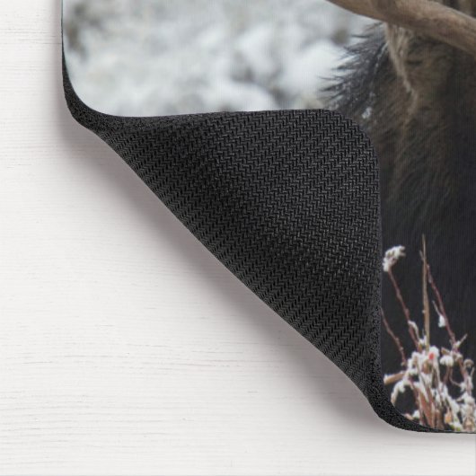 Shiras Bull Moose Mousepad (Ecke)