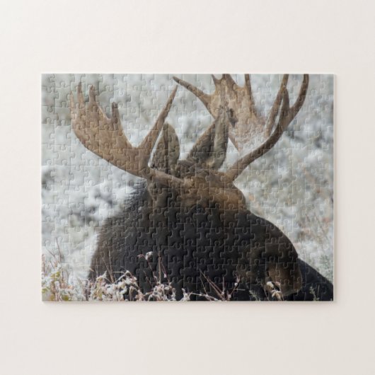 Shiras Bull Moose Puzzle (Horizontal)
