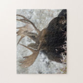 Shiras Bull Moose Puzzle (Vertikal)