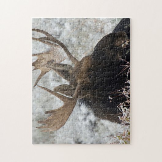 Shiras Bull Moose Puzzle (Vertikal)