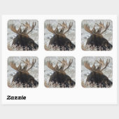 Shiras Bull Moose Quadratischer Aufkleber (Blatt)