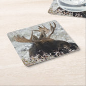 Shiras Bull Moose Rechteckiger Pappuntersetzer (angewinkelt)