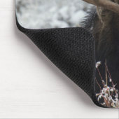 Shiras-Elchbulle Mousepad (Ecke)