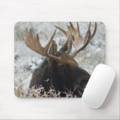 Shiras-Elchbulle Mousepad (Mit Mouse)