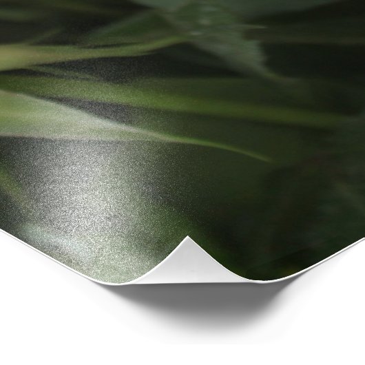 Shirdi Sai Baba Fotodruck (Ecke)